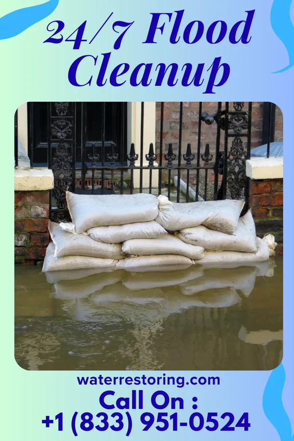 24/7 Flood Cleanup in Rutledge, MN