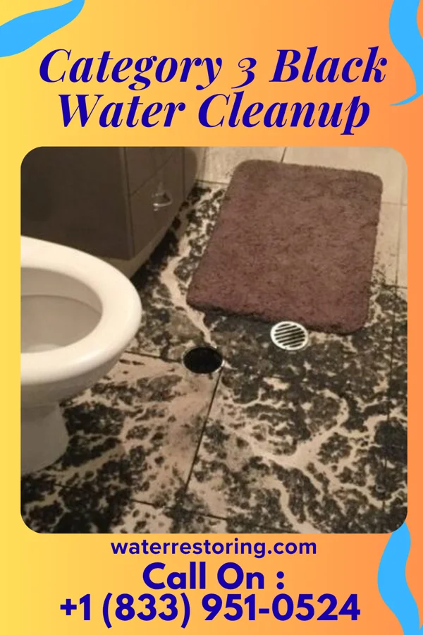 Category 3 Black Water Cleanup in Rutledge, MN