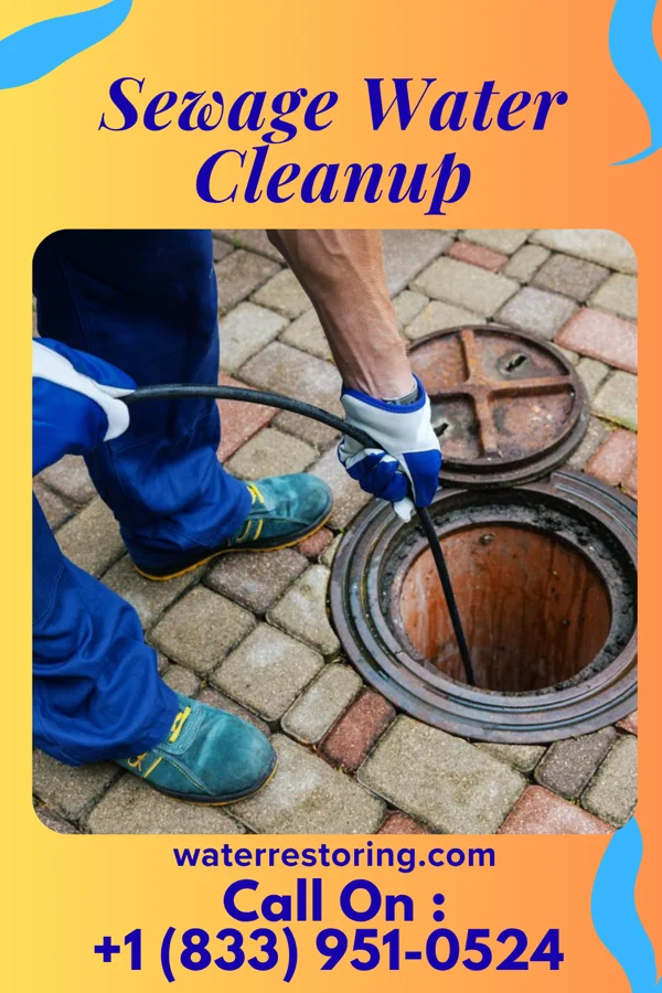 Sewage Water Cleanup in Rutledge, MN