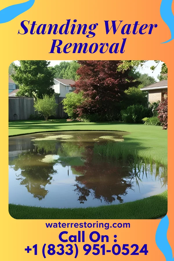 Standing Water Removal in Rutledge, MN